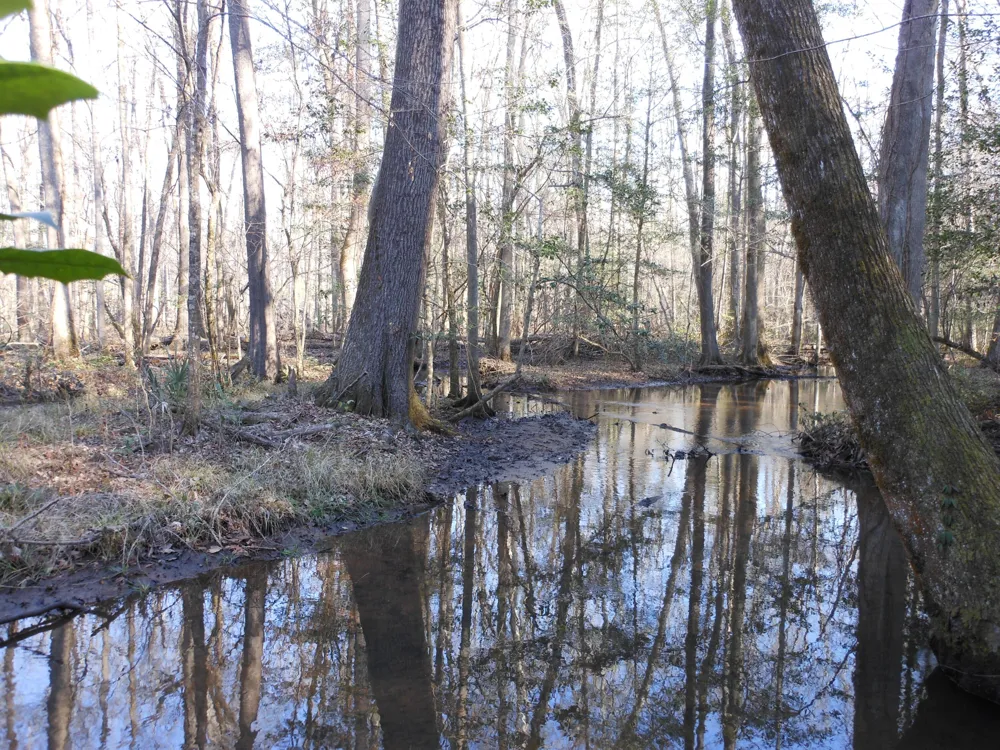 0 Ponderosa Road Waynesboro, GA 30830