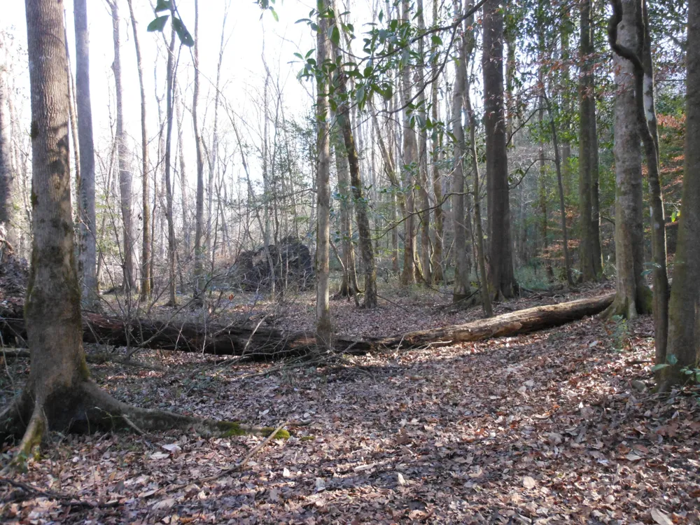 0 Ponderosa Road Waynesboro, GA 30830