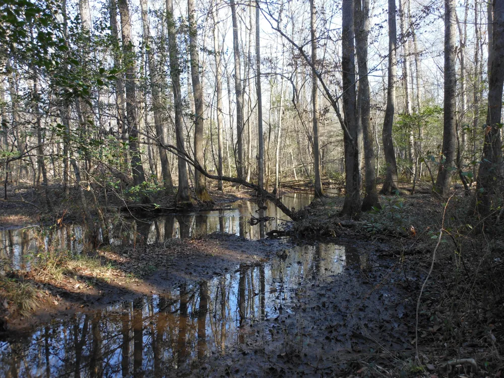 0 Ponderosa Road Waynesboro, GA 30830