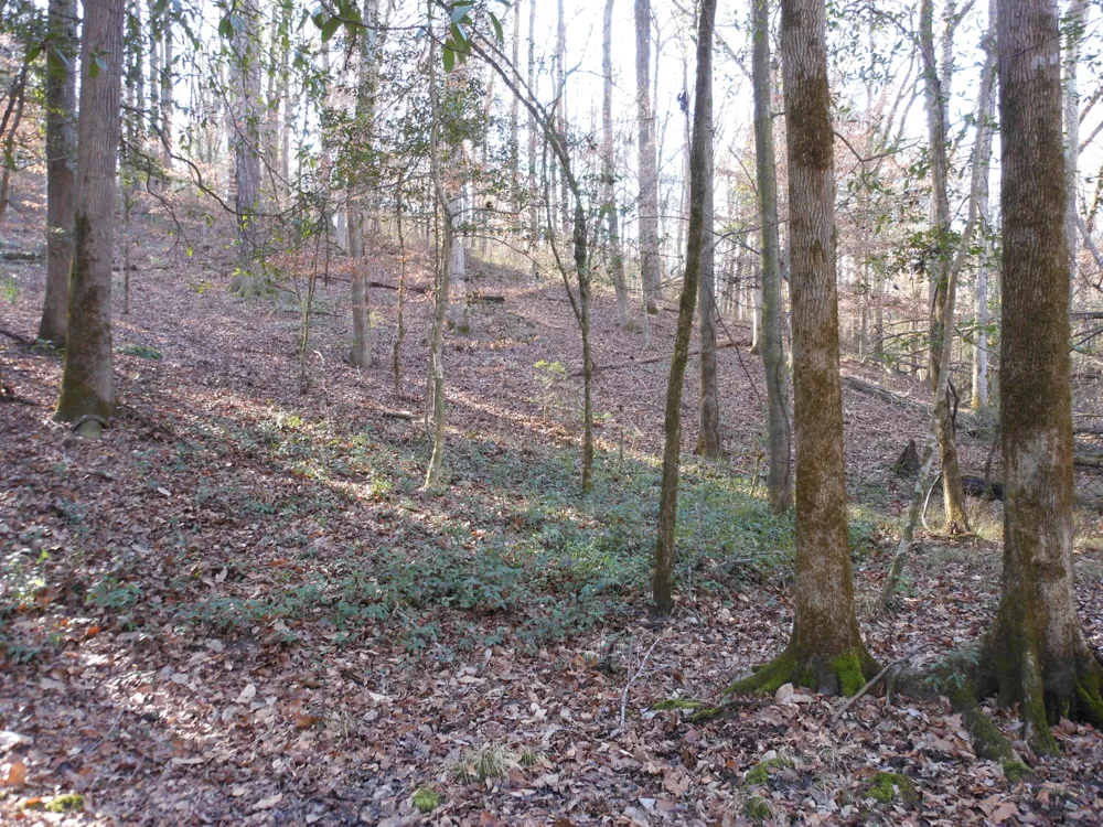 0 Ponderosa Road Waynesboro, GA 30830