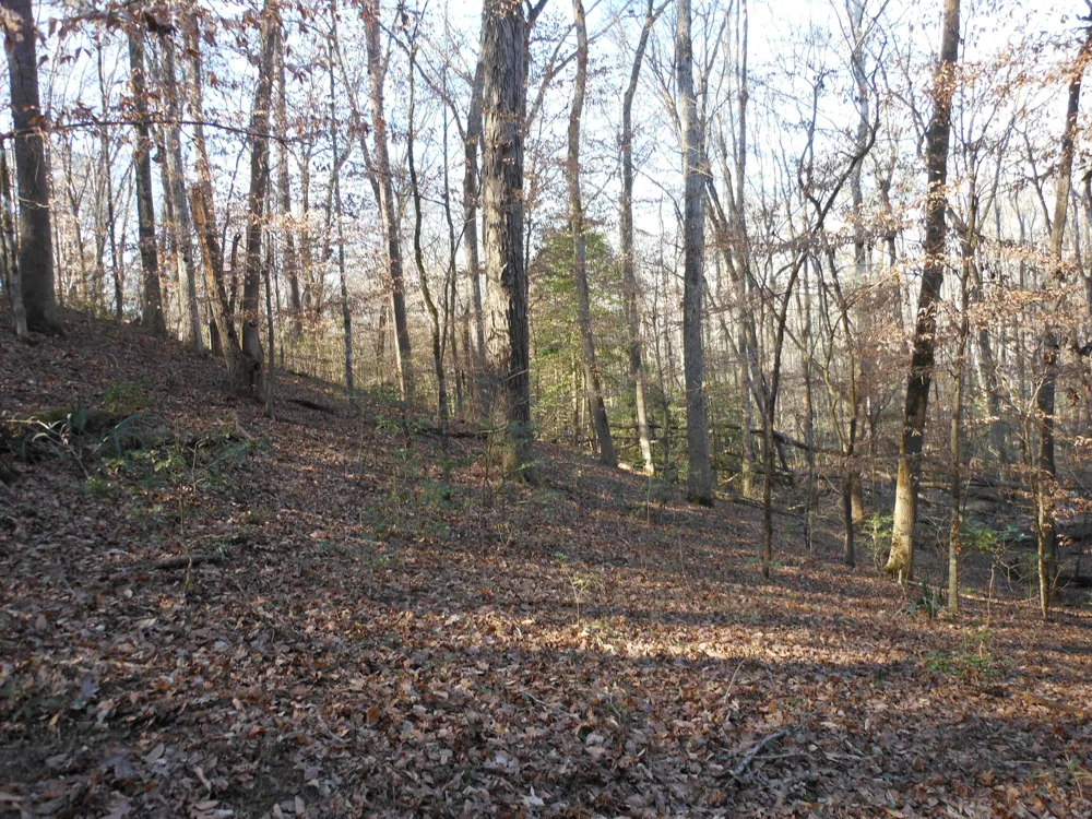 0 Ponderosa Road Waynesboro, GA 30830