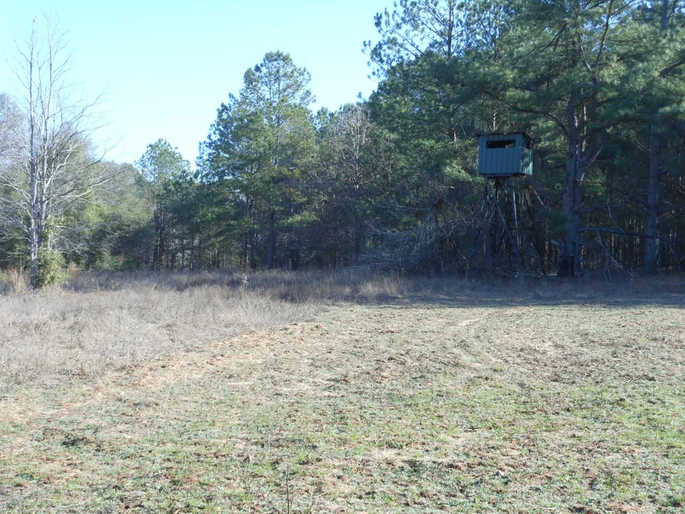 0 Ponderosa Road Waynesboro, GA 30830