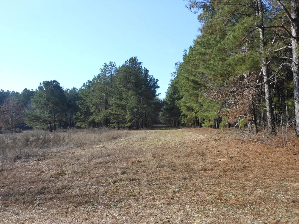 0 Ponderosa Road Waynesboro, GA 30830
