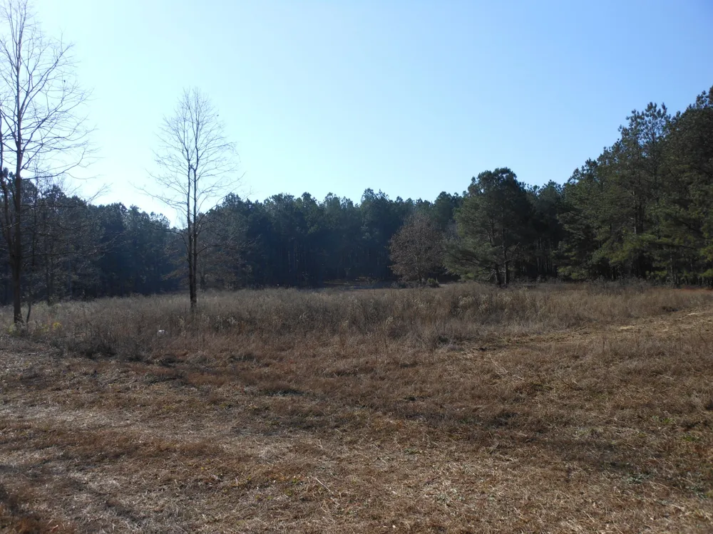 0 Ponderosa Road Waynesboro, GA 30830