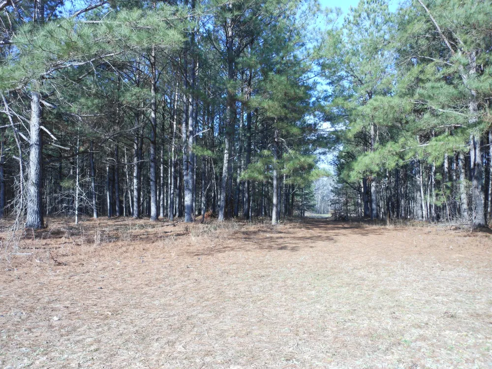 0 Ponderosa Road Waynesboro, GA 30830
