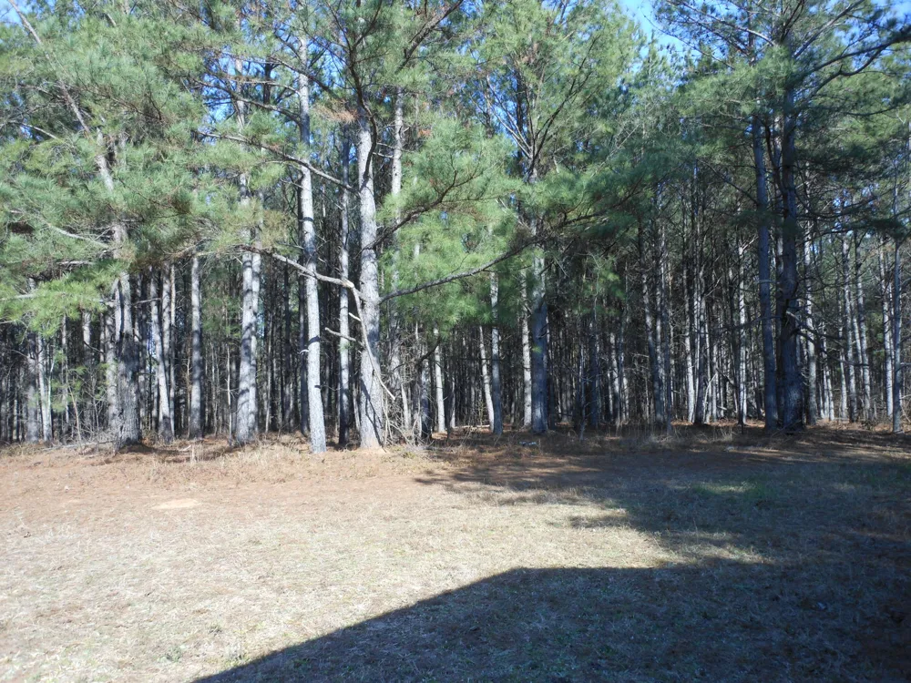 0 Ponderosa Road Waynesboro, GA 30830