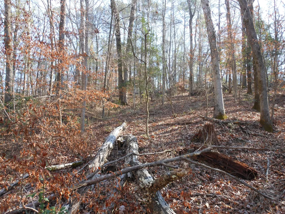 0 Ponderosa Road Waynesboro, GA 30830