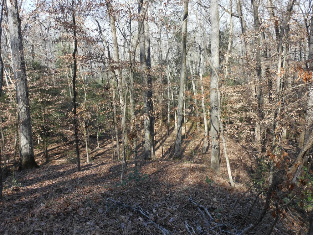 0 Ponderosa Road Waynesboro, GA 30830