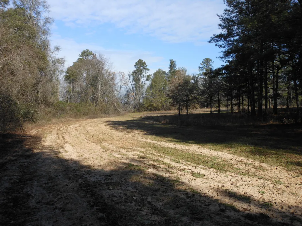 0 Ponderosa Road Waynesboro, GA 30830