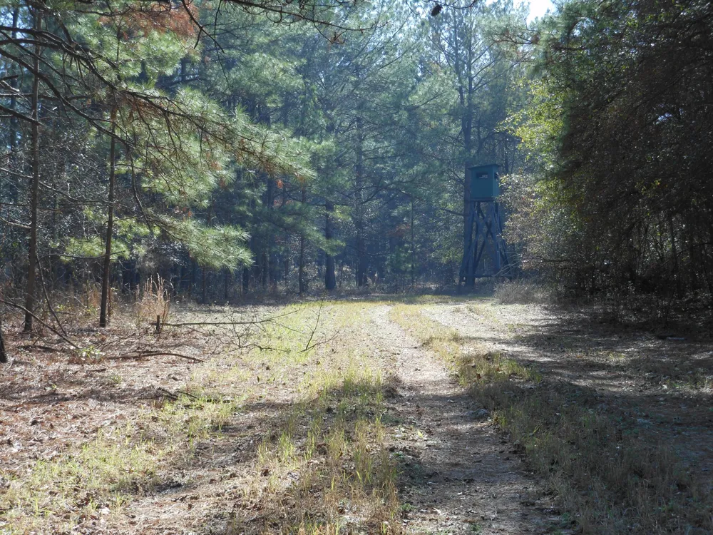 0 Ponderosa Road Waynesboro, GA 30830