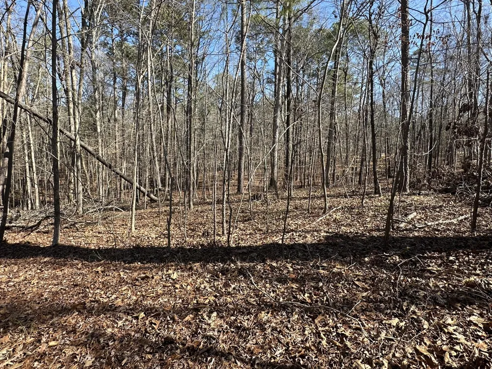 117 Cumberland Drive Mccormick, SC 29835