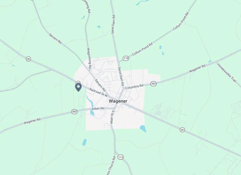 0 S Busbee South Drive Wagener, SC 29164