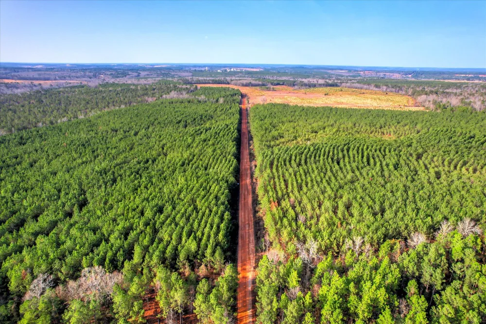 0 Old Thomson Road Wrens, GA 30833