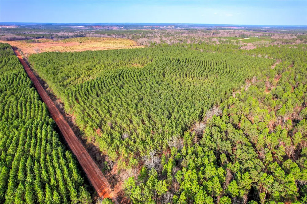 0 Old Thomson Road Wrens, GA 30833
