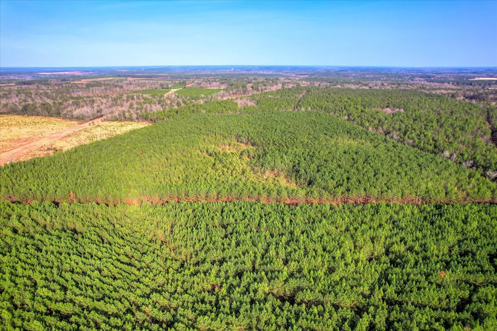 0 Old Thomson Road Wrens, GA 30833