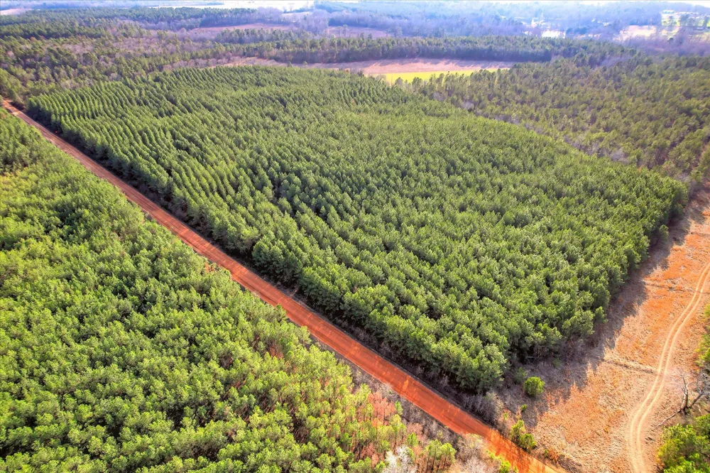 0 Old Thomson Road Wrens, GA 30833