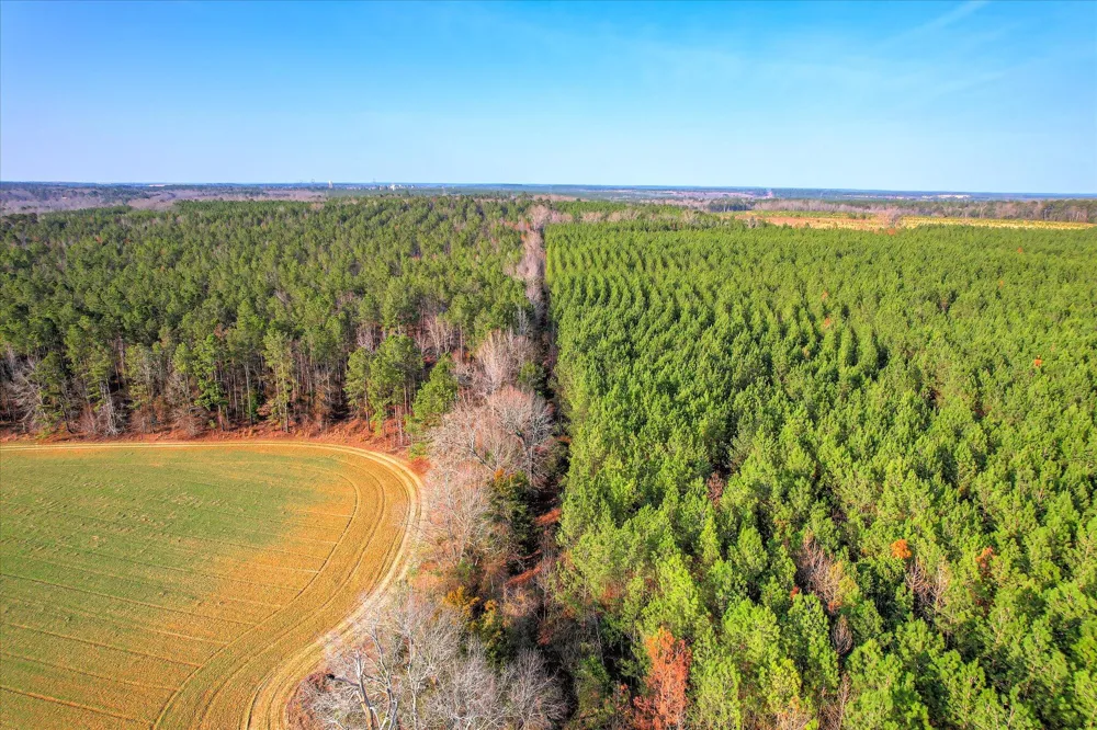 0 Old Thomson Road Wrens, GA 30833