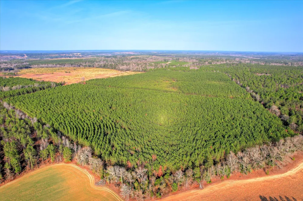 0 Old Thomson Road Wrens, GA 30833