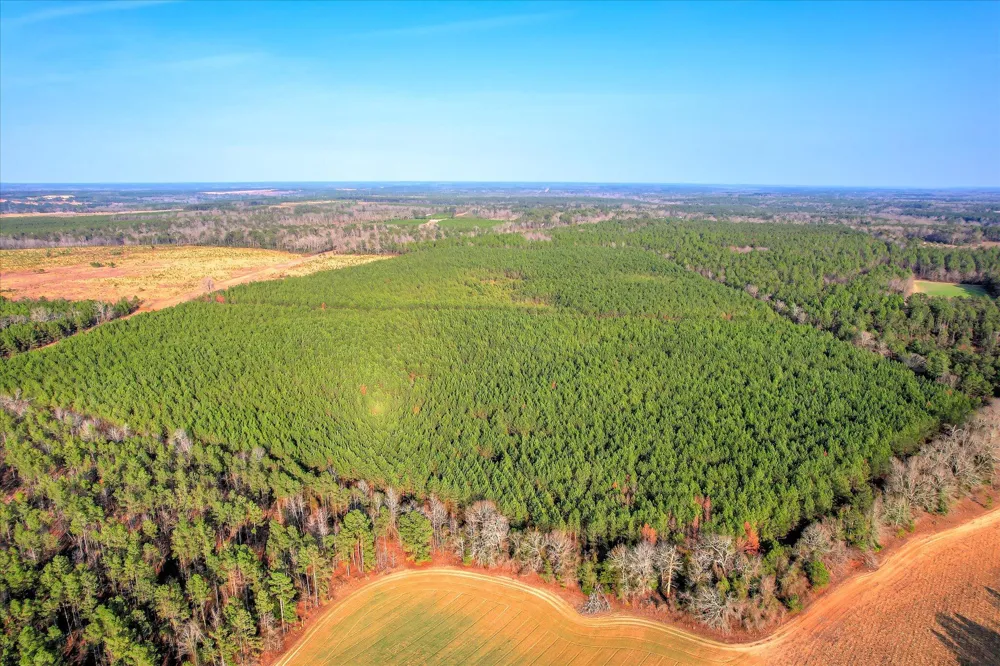 0 Old Thomson Road Wrens, GA 30833