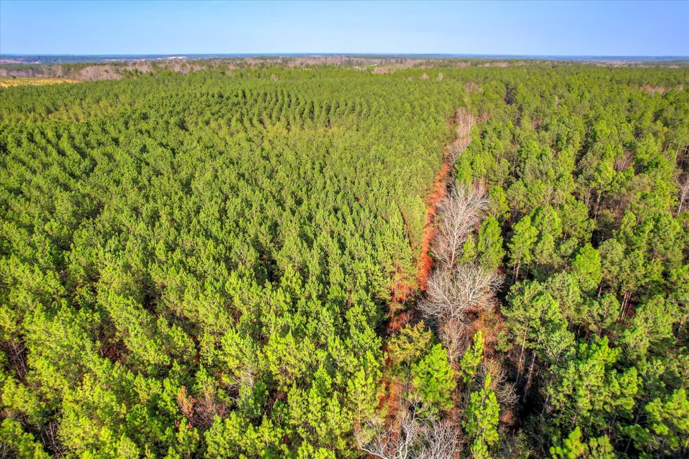 0 Old Thomson Road Wrens, GA 30833