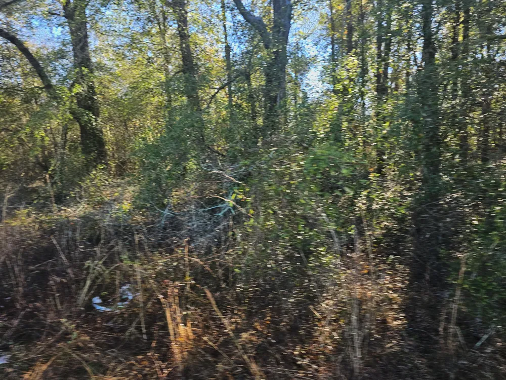 01 River Road Waynesboro, GA 30830