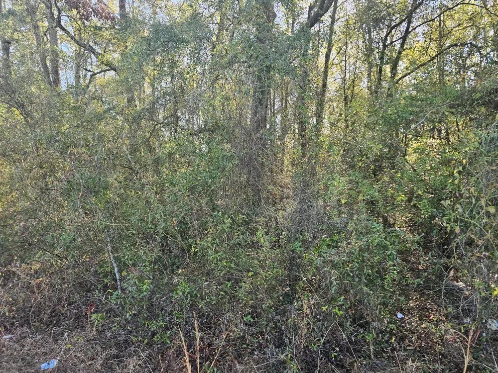 01 River Road Waynesboro, GA 30830