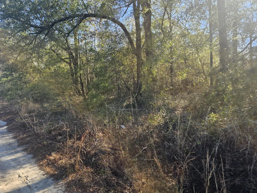 01 River Road Waynesboro, GA 30830
