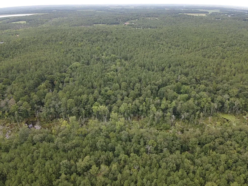 Tbd Johnston Highway Trenton, SC 29847