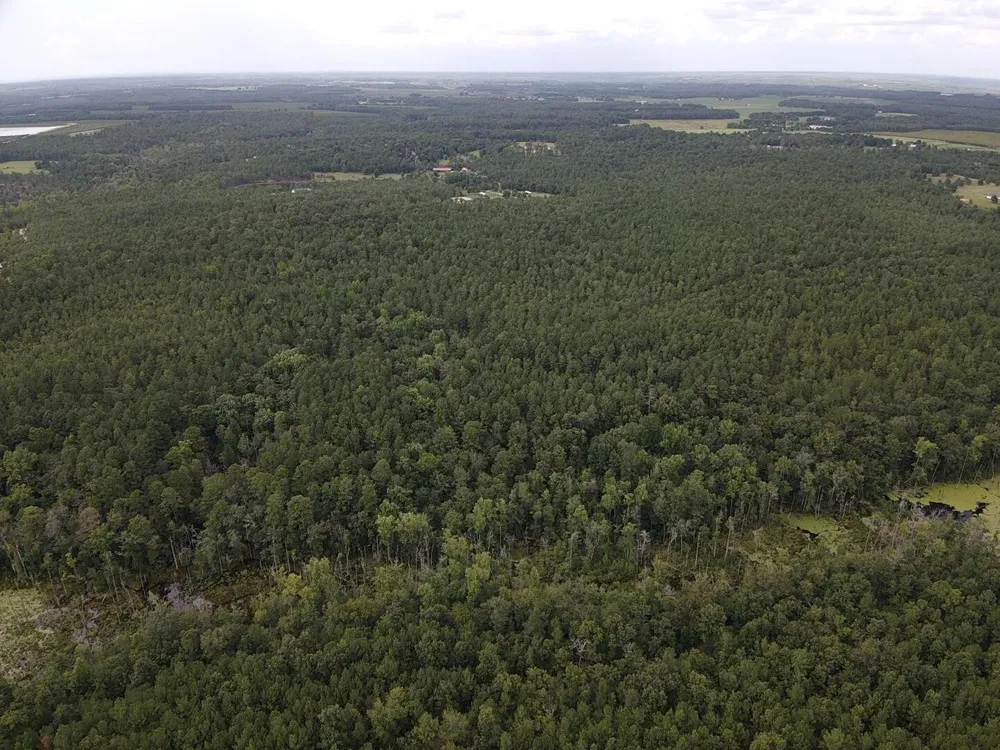 Tbd Johnston Highway Trenton, SC 29847