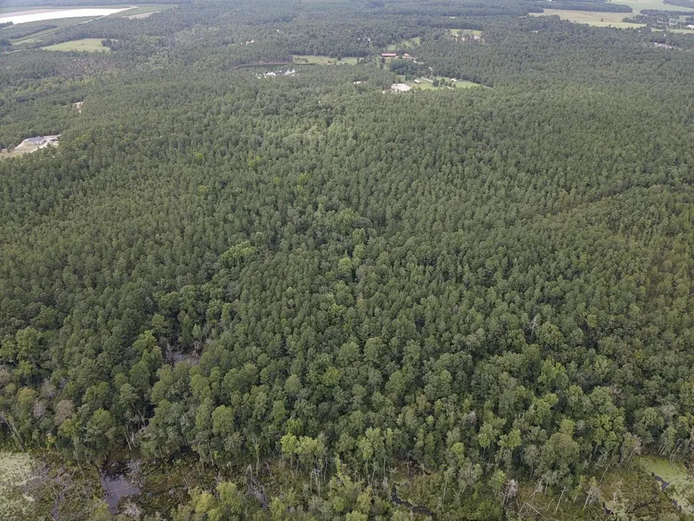 Tbd Johnston Highway Trenton, SC 29847