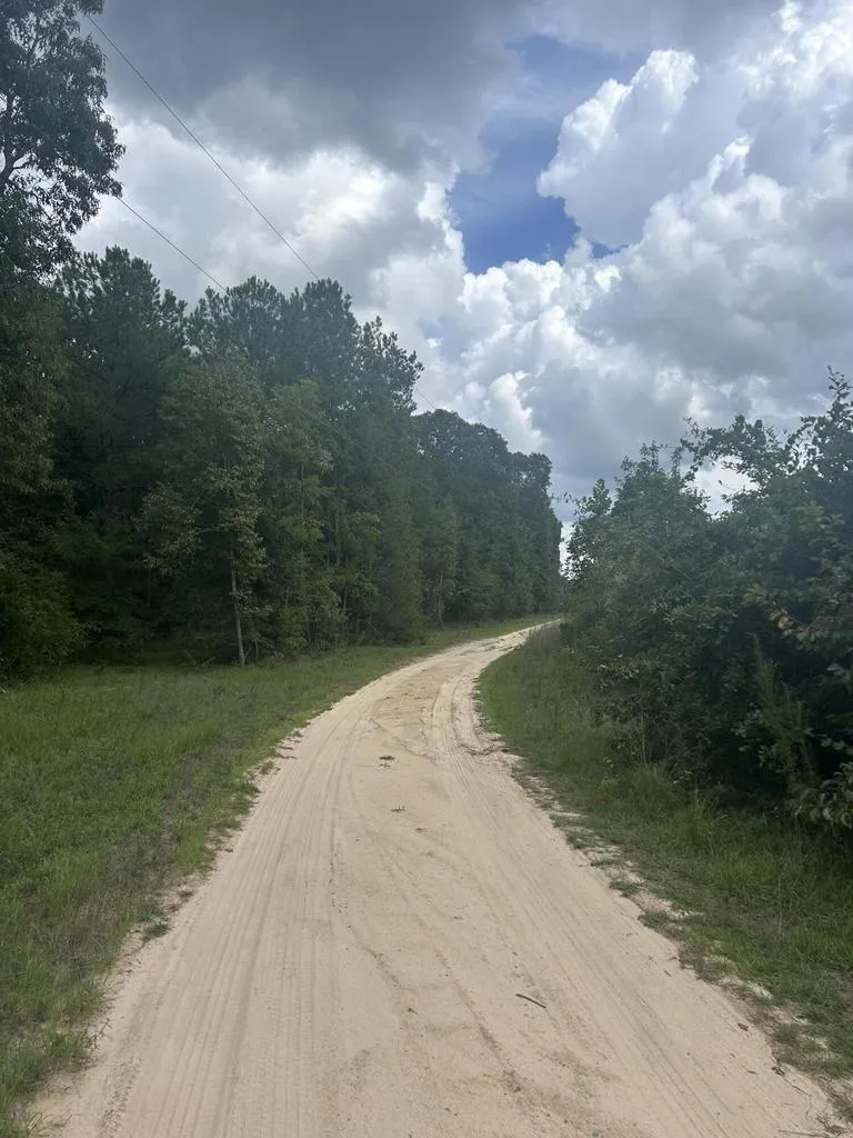 Tbd Johnston Highway Trenton, SC 29847
