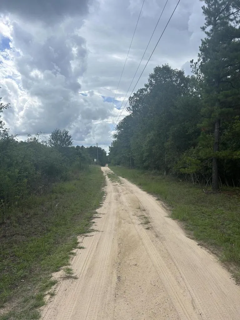 Tbd Johnston Highway Trenton, SC 29847