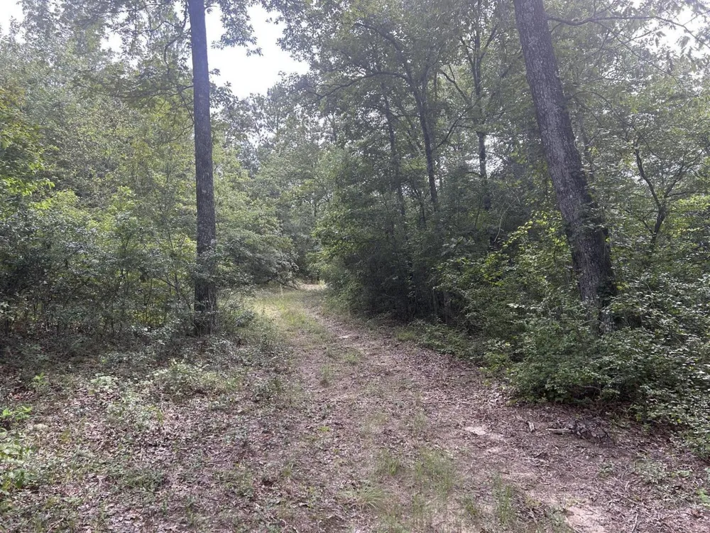 Tbd Johnston Highway Trenton, SC 29847