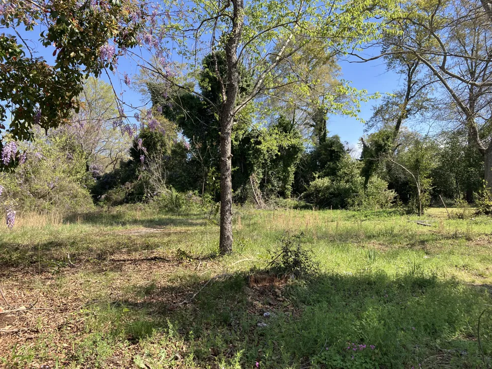 132 May Street Johnston, SC 29832