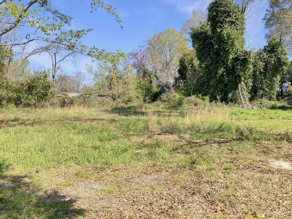 132 May Street Johnston, SC 29832