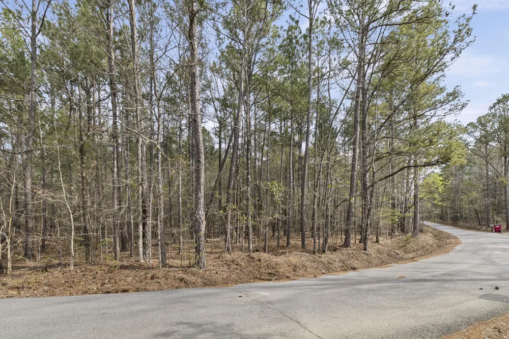 0 Lbk Circle Tignall, GA 30668