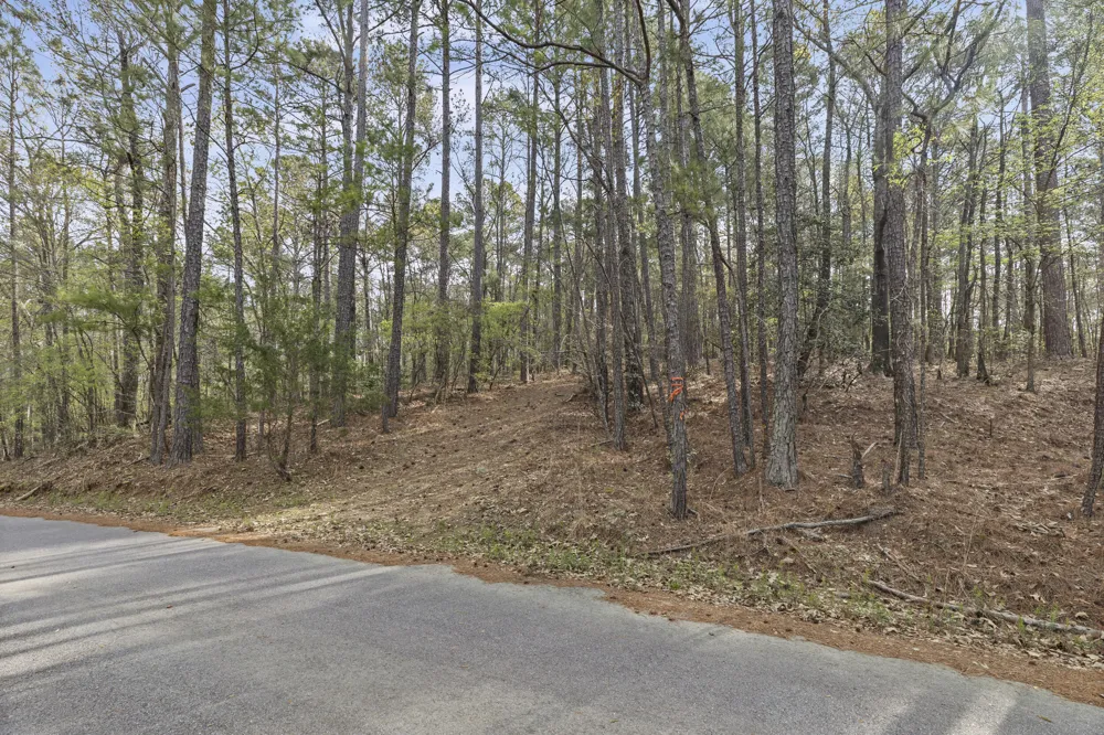 0 Lbk Circle Tignall, GA 30668