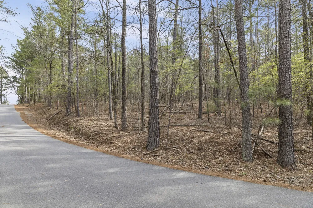 0 Lbk Circle Tignall, GA 30668