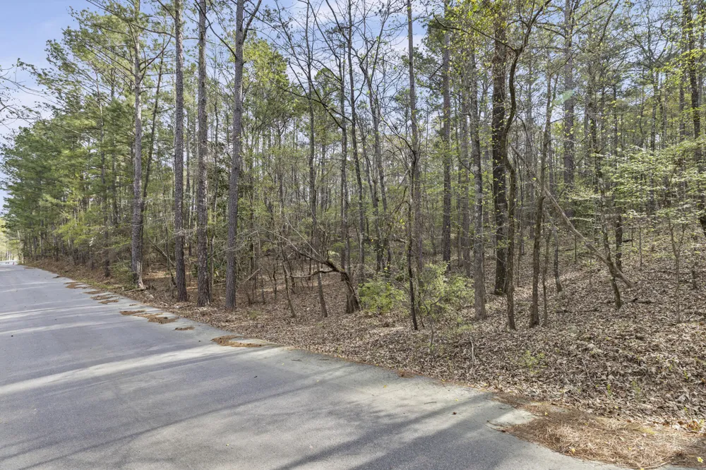 0 Lbk Circle Tignall, GA 30668