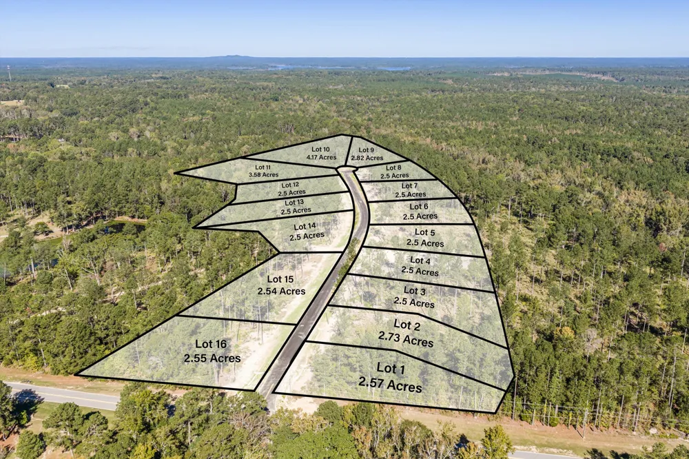 158 Beagle Chase Drive Appling, GA 30802