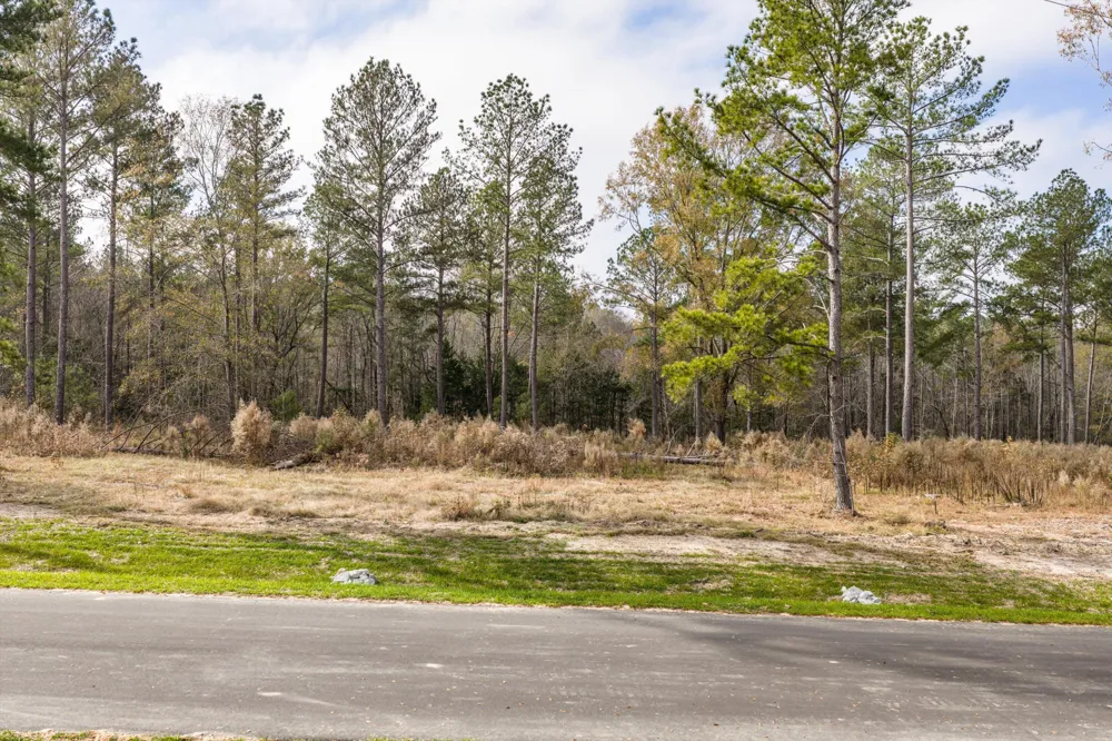 158 Beagle Chase Drive Appling, GA 30802
