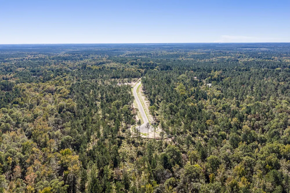 158 Beagle Chase Drive Appling, GA 30802