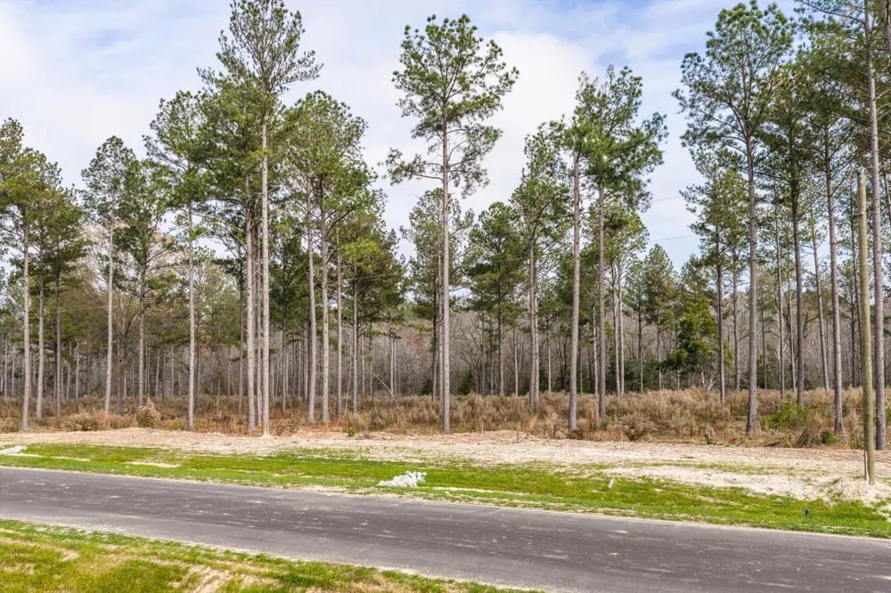 159 Beagle Chase Drive Appling, GA 30802