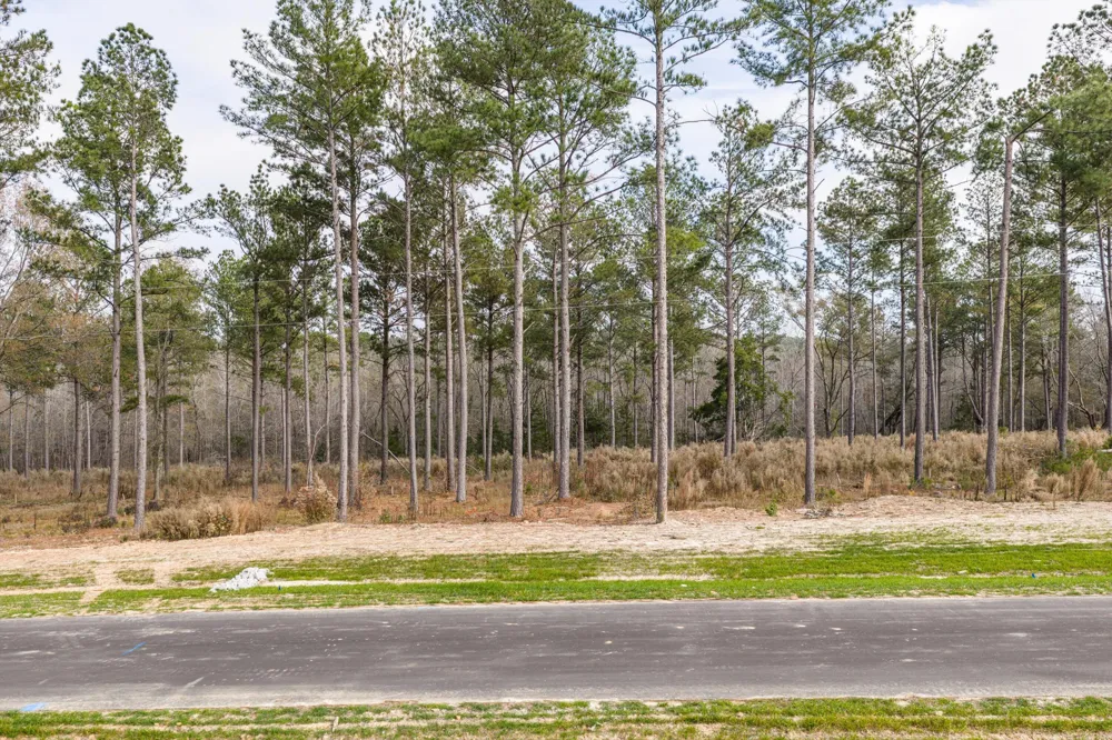 159 Beagle Chase Drive Appling, GA 30802