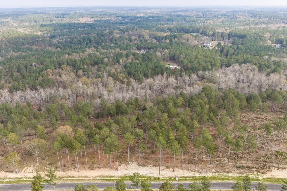 159 Beagle Chase Drive Appling, GA 30802