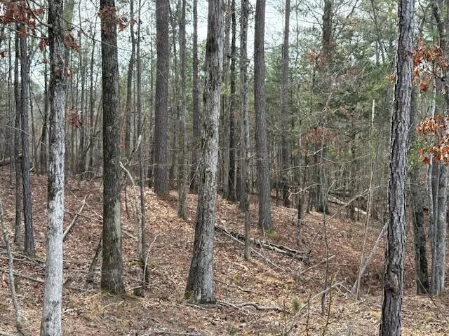 14-33 Kristen Lane Mccormick, SC 29835