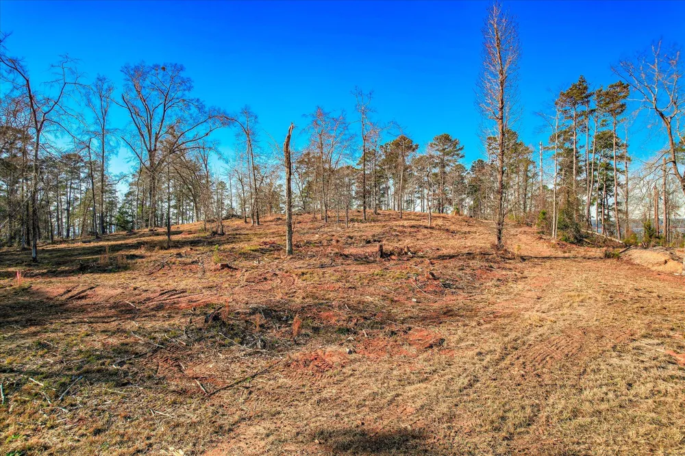 490 Abundance Way Appling, GA 30802