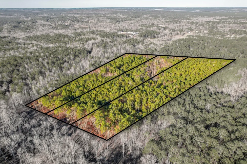 5485 Tubman Road Appling, GA 30802