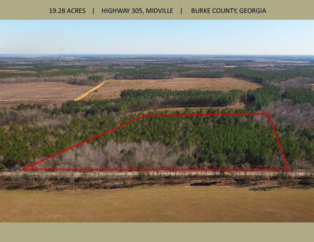 19.3 Acres Ga-305 Midville, GA 30441
