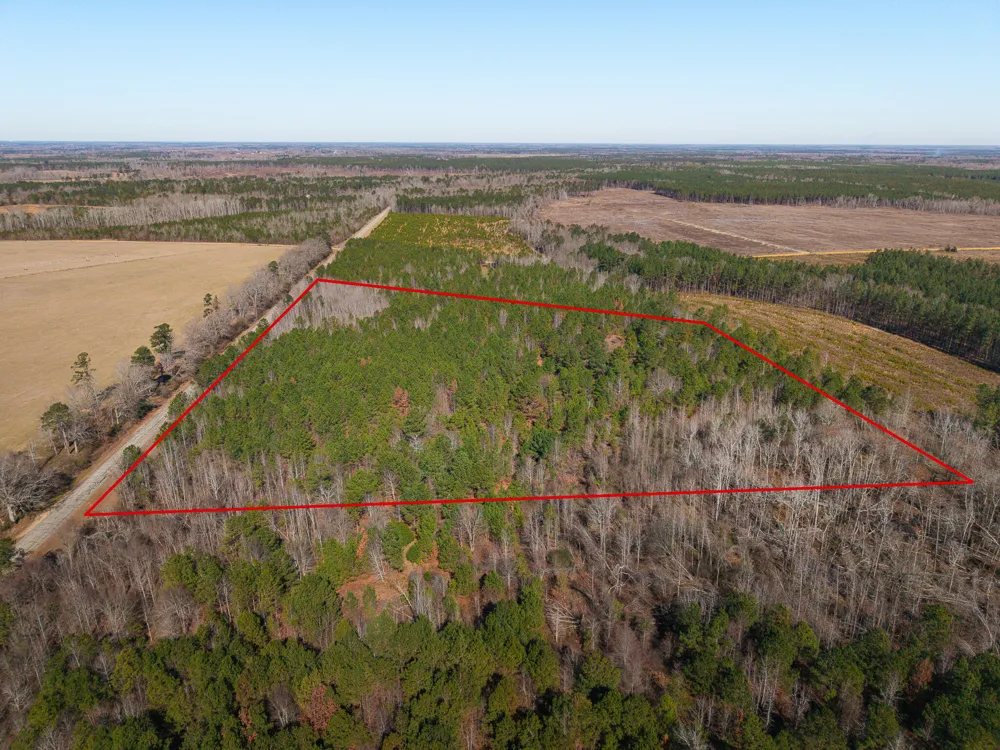 19.3 Acres Ga-305 Midville, GA 30441